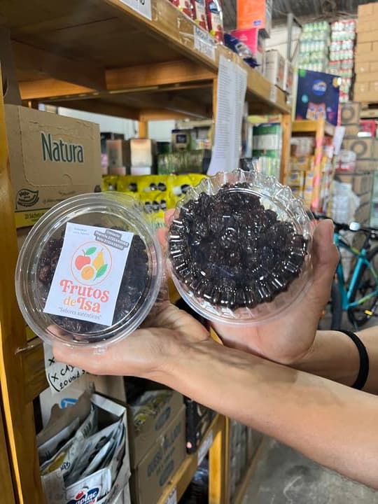 PASAS DE UVAS X200 GS FRUTOS DE ISA