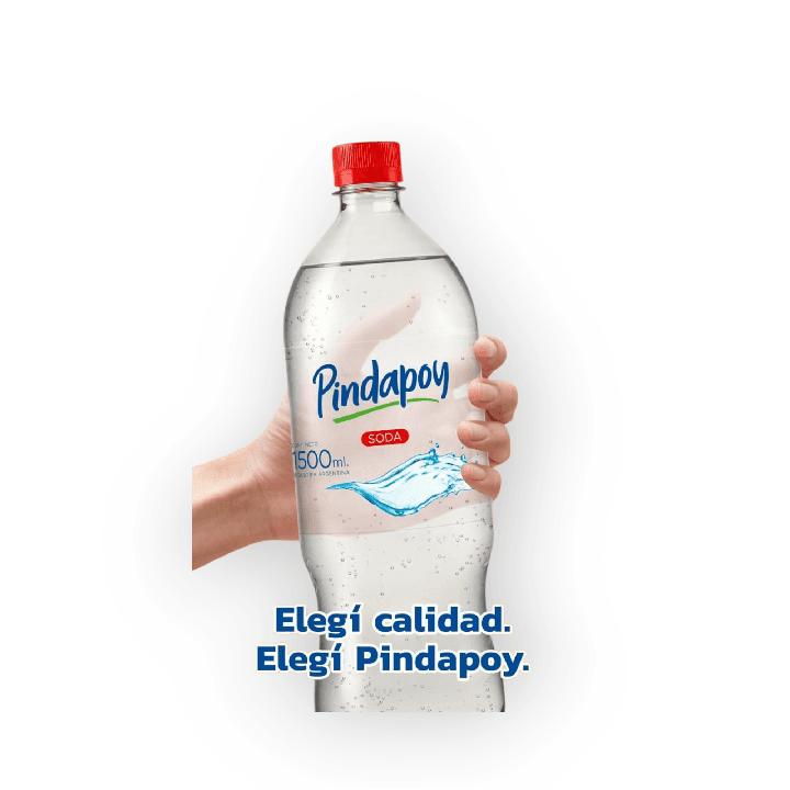 SODA PINDAPOY PACK 6 X 1.5 LT