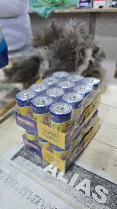 PILAS GRANDES RAYOVAC X 1