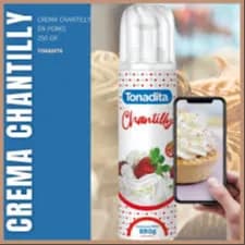 CREMA CHANTILLY TONADITA X 350